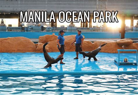 Manila Ocean Park Promo: Price, Entrance Fee, and.
